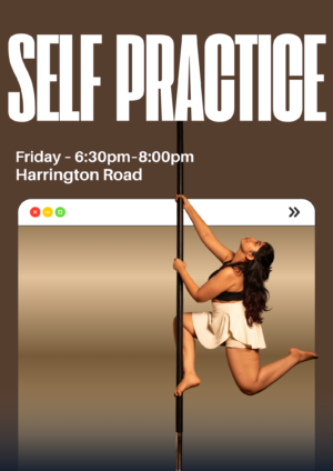 Self Practice - One session | Friday 6.30pm -8pm | Harrington Road