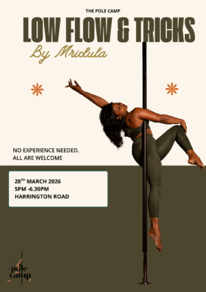 Low Flow & Tricks Workshop | March 28th | 5-6.30pm | Harrington Road